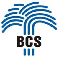 BCS Resourcing logo - Similar company to Allêz Brandworks Private Limited