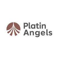 PLATIN ANGELS logo - Similar company to Bilka Endüstriyel