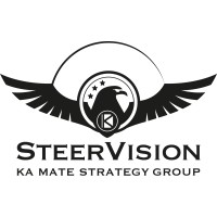 STEERVISION logo - Similar company to Steer