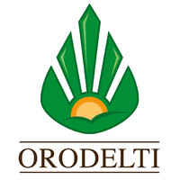 ORODELTI logo - Similar company to Sv Technology