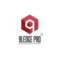 9Ledgepro - Microsoft Partner Network