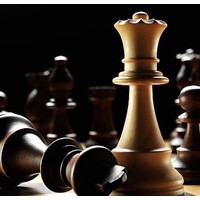 Bujnowski & Company, Llc