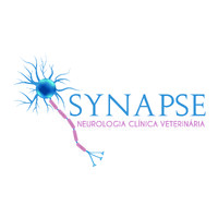Synapse Neurologia Clínica Veterinária logo - Similar company to English With Regina Martinho 🇺🇲🇧🇷