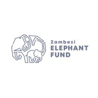Zambezi Elephant Fund logo - Similar company to The Tashinga Initiative