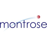 Montrose Media Limited logo - Similar company to Stadium Fx Ltd