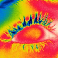 Thermography / Thermografie Info logo - Similar company to Iris-Thermovision