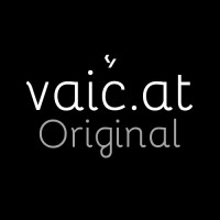 vaic.at logo - Similar company to Diligius