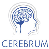 Cerebrum – Asociace osob po získaném poškození mozku, z.s. logo - Similar company to Randl Partners