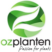 OZ Planten logo - Similar company to Vida Verde