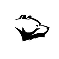 DarkForest logo - Similar company to Darkforest