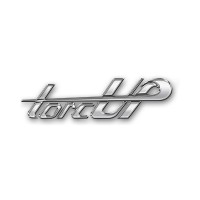 TorcUP Vietnam logo - Similar company to Anma Tech Bv