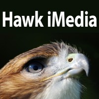 Hawk Imedia