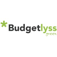 Budgetlyss Green logo - Similar company to Digimade