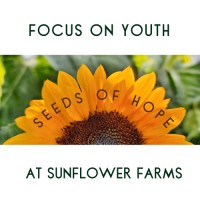 Focus On Youth logo - Similar company to University Of Toronto Women'S Pre-Law Association