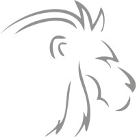 Investing Solutions Morocco logo - Similar company to Institut De L'Iconomie