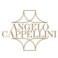 Angelo Cappellini & C. srl logo - Similar company to Opera Contemporary