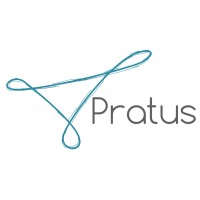 Pratus Group logo - Similar company to The Geofocus Group