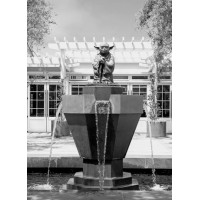 Letterman Digital Arts Center logo - Similar company to Skywalker Holdings, Llc