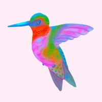 Liamuiga Women's Health logo - Similar company to The Joy Project