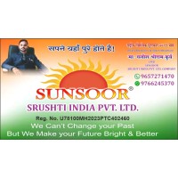 SUNSOOR Srushti India Pvt Ltd logo - Similar company to Vaibhav Enterprises