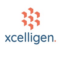 Xcelligen Inc. logo - Similar company to Plateau Grp