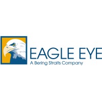 Eagle Eye Electric LLC logo - Similar company to Bering Straits Professional Services