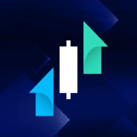 Capitalizer.io logo - Similar company to Vutatech Jsc