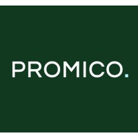 Promico Strategy Consulting Team logo - Similar company to Experts For Building Works