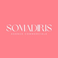 SOMADIRIS logo - Similar company to Dimatis