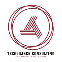 Techlimber Consulting Private Limited logo - Similar company to A2 Web Solutions