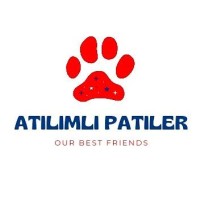 Atılımlı Patiler Gönüllüleri logo - Similar company to Aya Journey