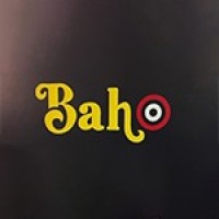BAHO logo - Similar company to Levelsbysunburn