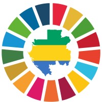 PNUD GABON logo - Similar company to Bs-Gabon
