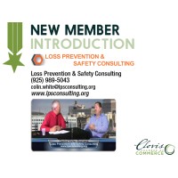 Loss Prevention & Safety Consulting logo - Similar company to Process Safety Matters