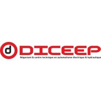 DICEEP logo - Similar company to Lm Systemes