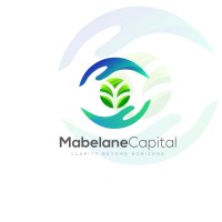Mabelane Capital logo - Similar company to Ramusi Group