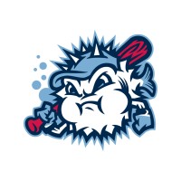Lexington County Blowfish logo - Similar company to Florence Flamingos