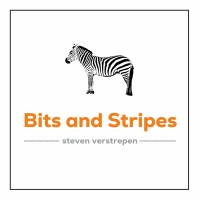 Bits and Stripes logo - Similar company to Bitss