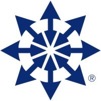 Human Synergistics logo - Similar company to Research Project - Dissertation