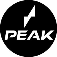 Peak Ski Company logo - Similar company to Pebblebee