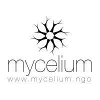 Mycelium logo - Similar company to Planetsapling