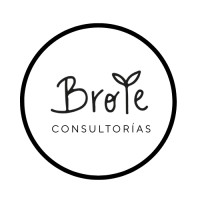Brote Consultorias logo - Similar company to Instituto De Neurociencias E Investigación