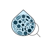 APSI-India logo - Similar company to Terrawise Dynamics