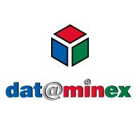 Dataminex Web Services Inc. logo - Similar company to Metastratus Web Solutions