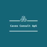 Caveo Consult ApS logo - Similar company to Carglass® Finland