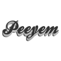 Peeyem Ventures logo - Similar company to Metalwize