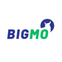 BigmoFx logo - Similar company to Digibits