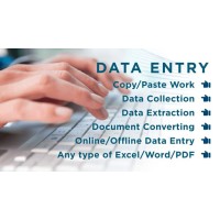 data antry and logo digain logo - Similar company to Assistantonline