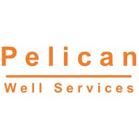 Pelican Well Services logo - Similar company to Rodrelo Llc