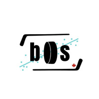 Bosveld Statistics logo - Similar company to Statistics Explained